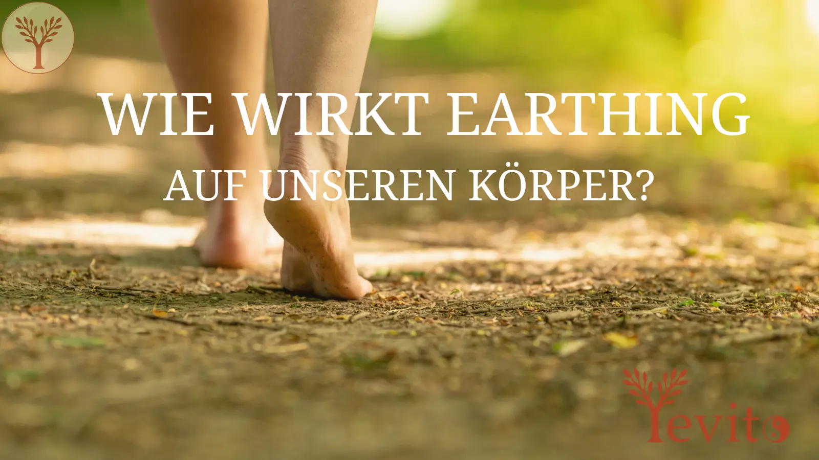 Earthing: Was Erdung bewirken kann – Studien & Erfahrungen im Überblick