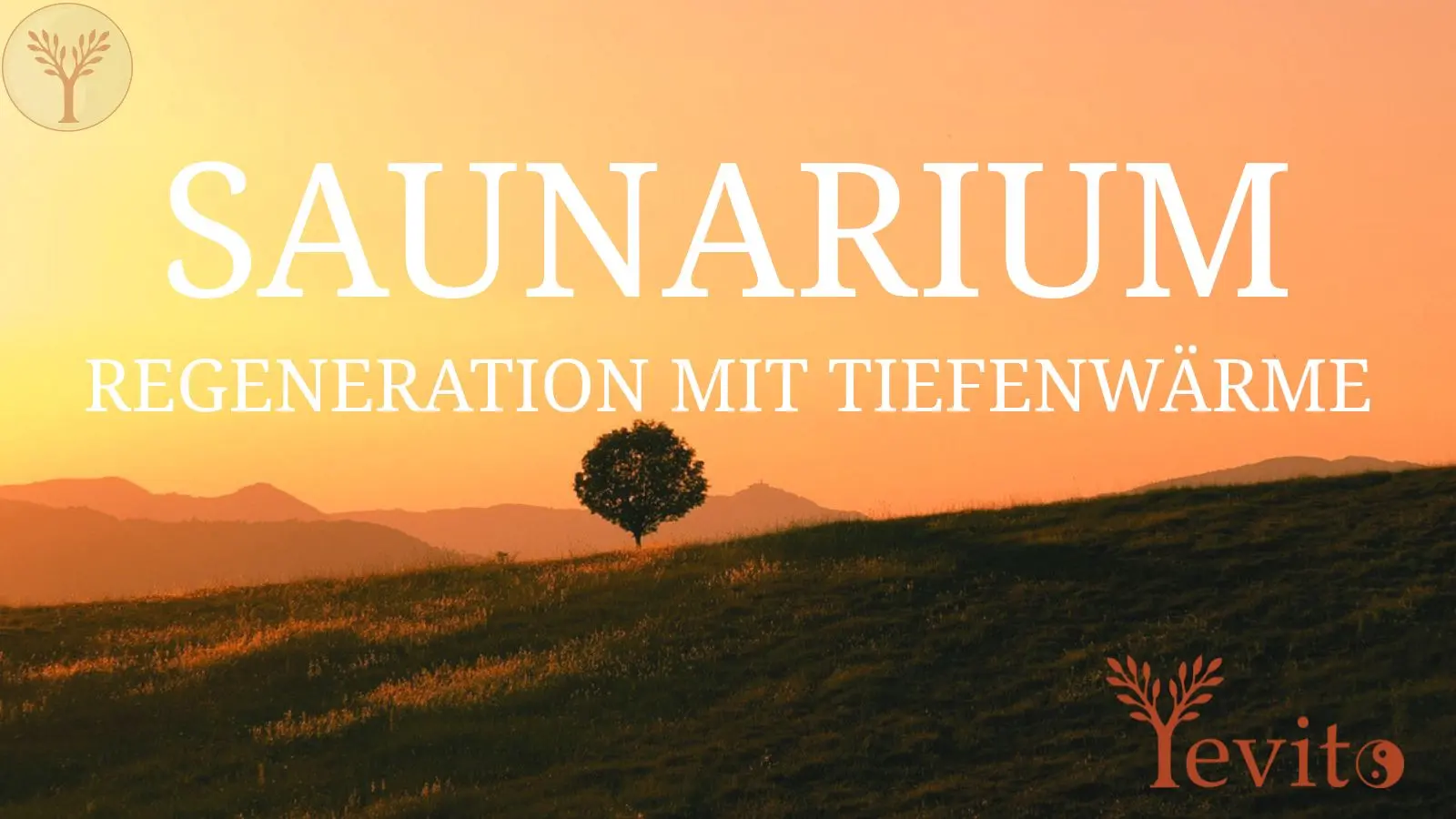Bauer Infrarot Saunarium – Tiefenwärme für Zuhause