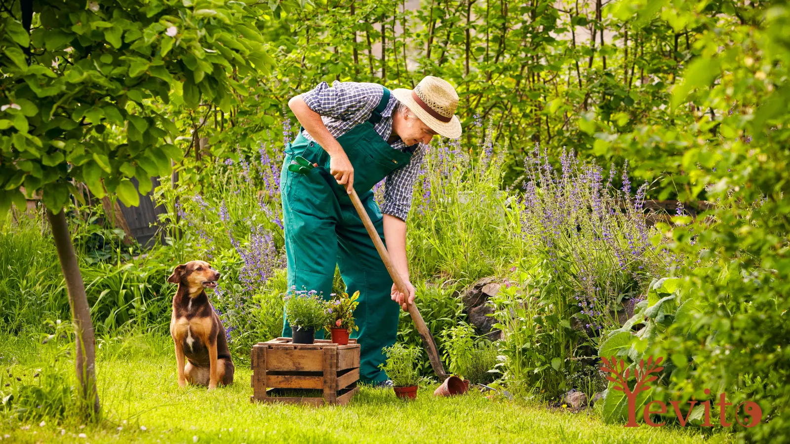 Gartenarbeit mit direktem Hautkontakt zur Erde – natürliche Erdung durch Arbeiten im Garten.