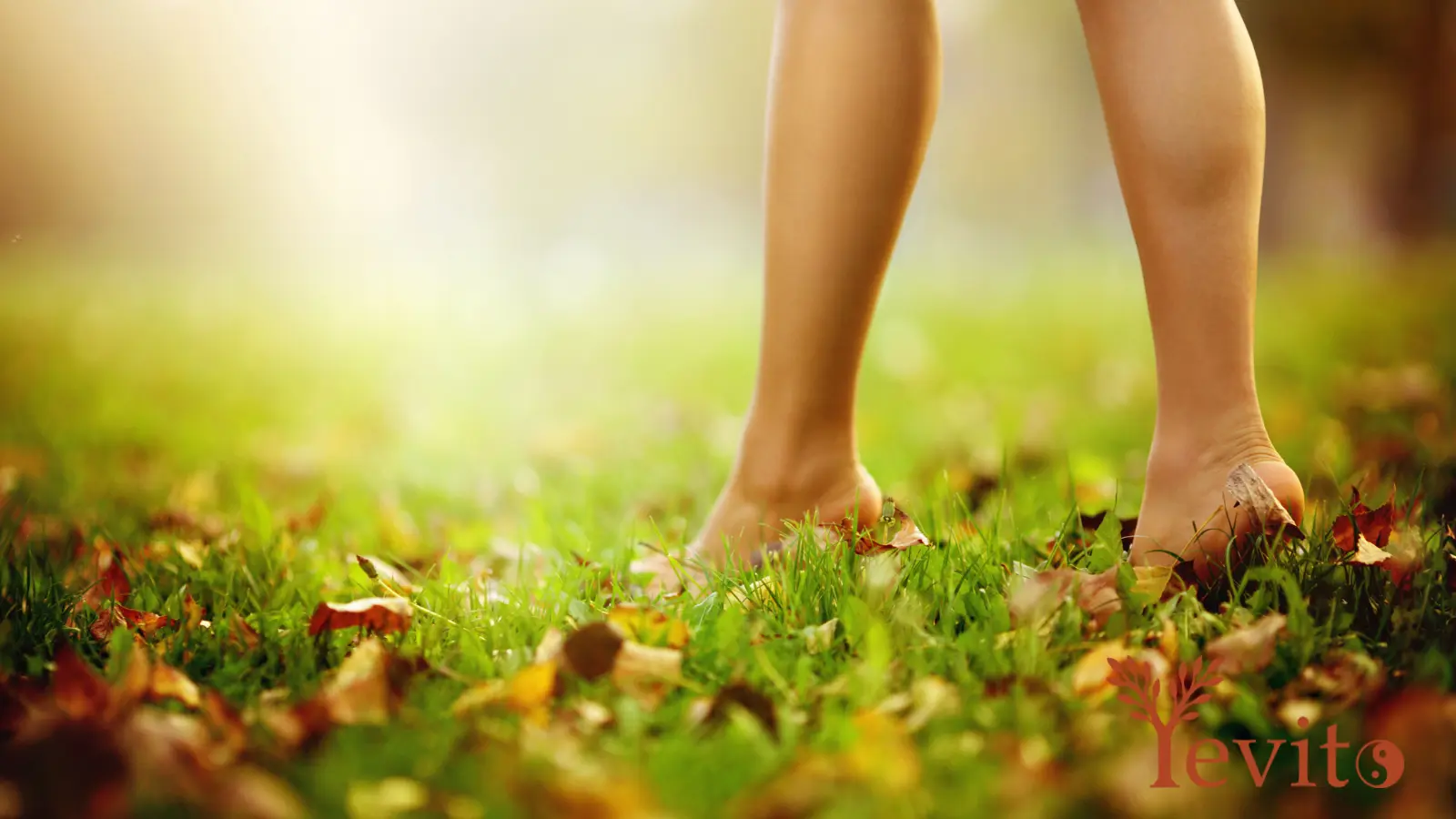 Das natürliche Leben in der freien Natur ermöglicht direkten Erdkontakt und unterstützt die Erdung des menschlichen Körpers.