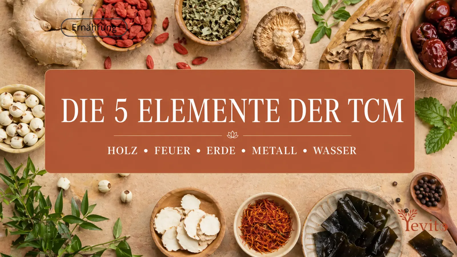 🌿 Die 5 Elemente einfach erklärt: Bedeutung, Eigenschaften und Wirkung in der TCM