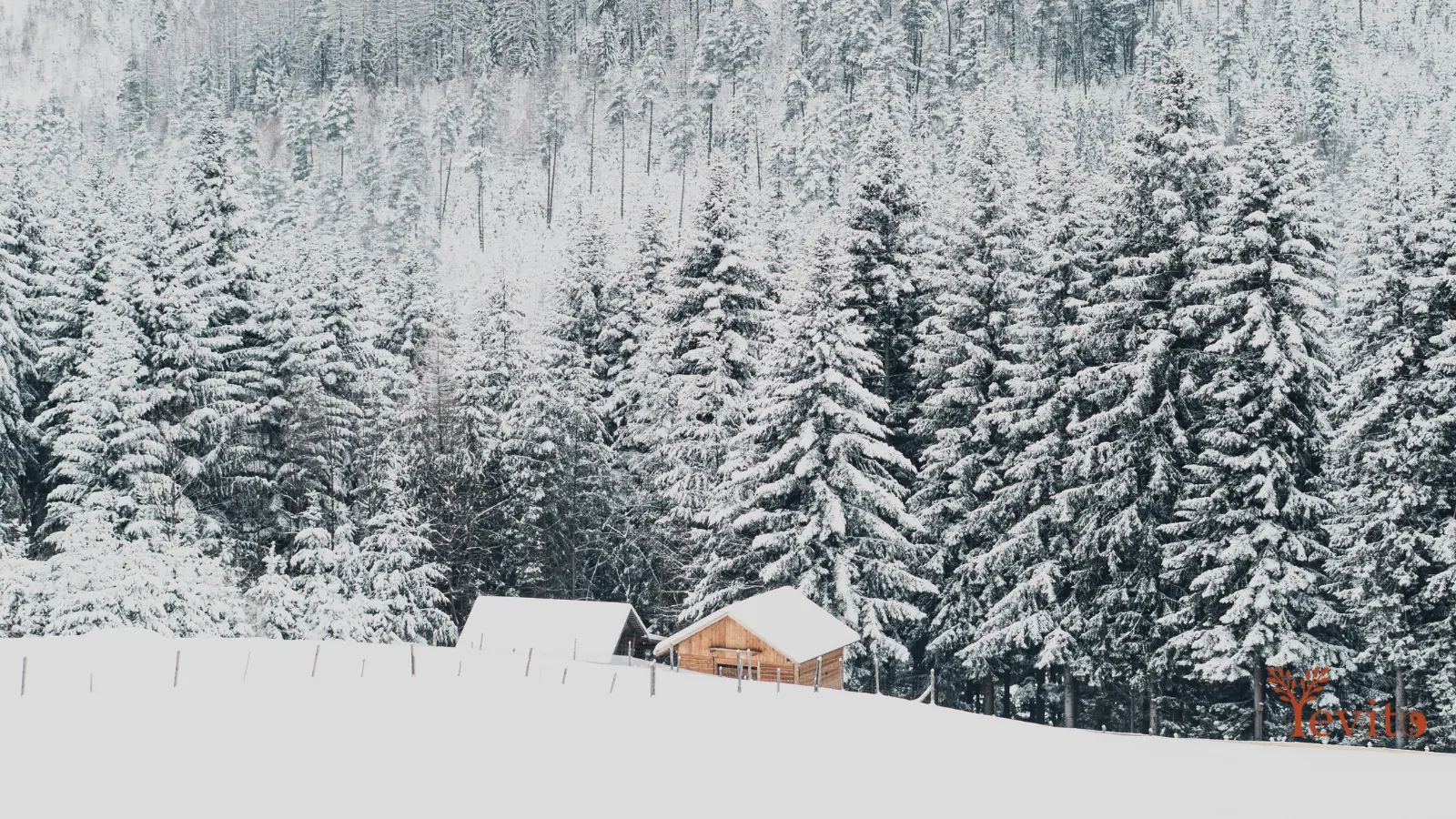 Verschneiter Wald mit Hütte in stiller Winterlandschaft als Symbol für das Element Wasser in der TCM.