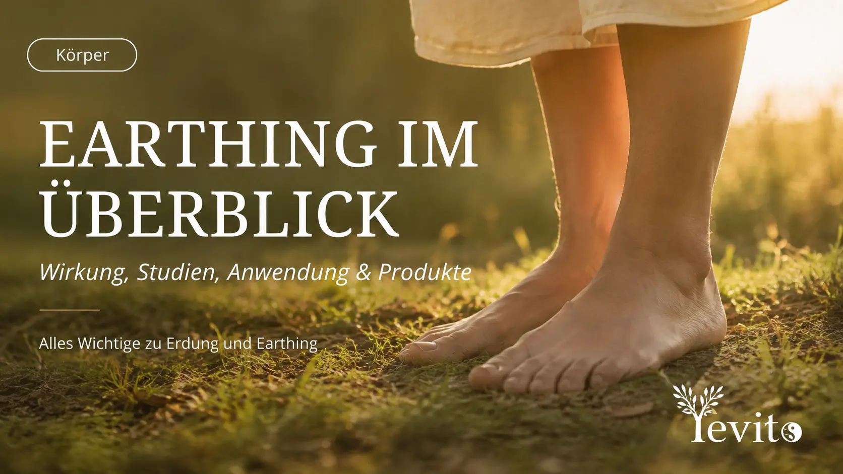 🌍 Earthing & Erdung: Wirkung, Studien, Anwendung und Produkte